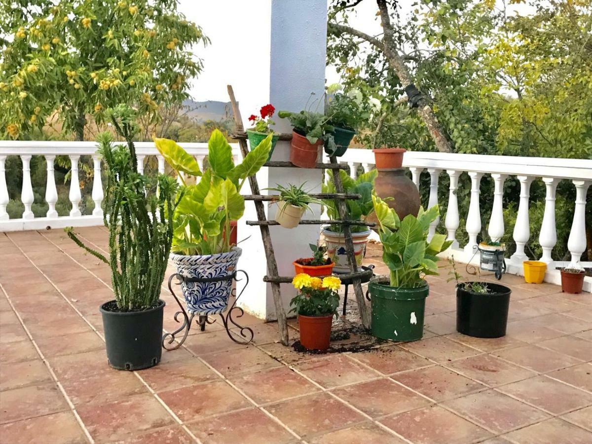 Casa Rural En Constantina Eksteriør bilde